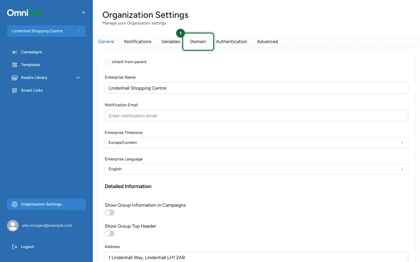 Organization Settings with the Domain tab highlighted