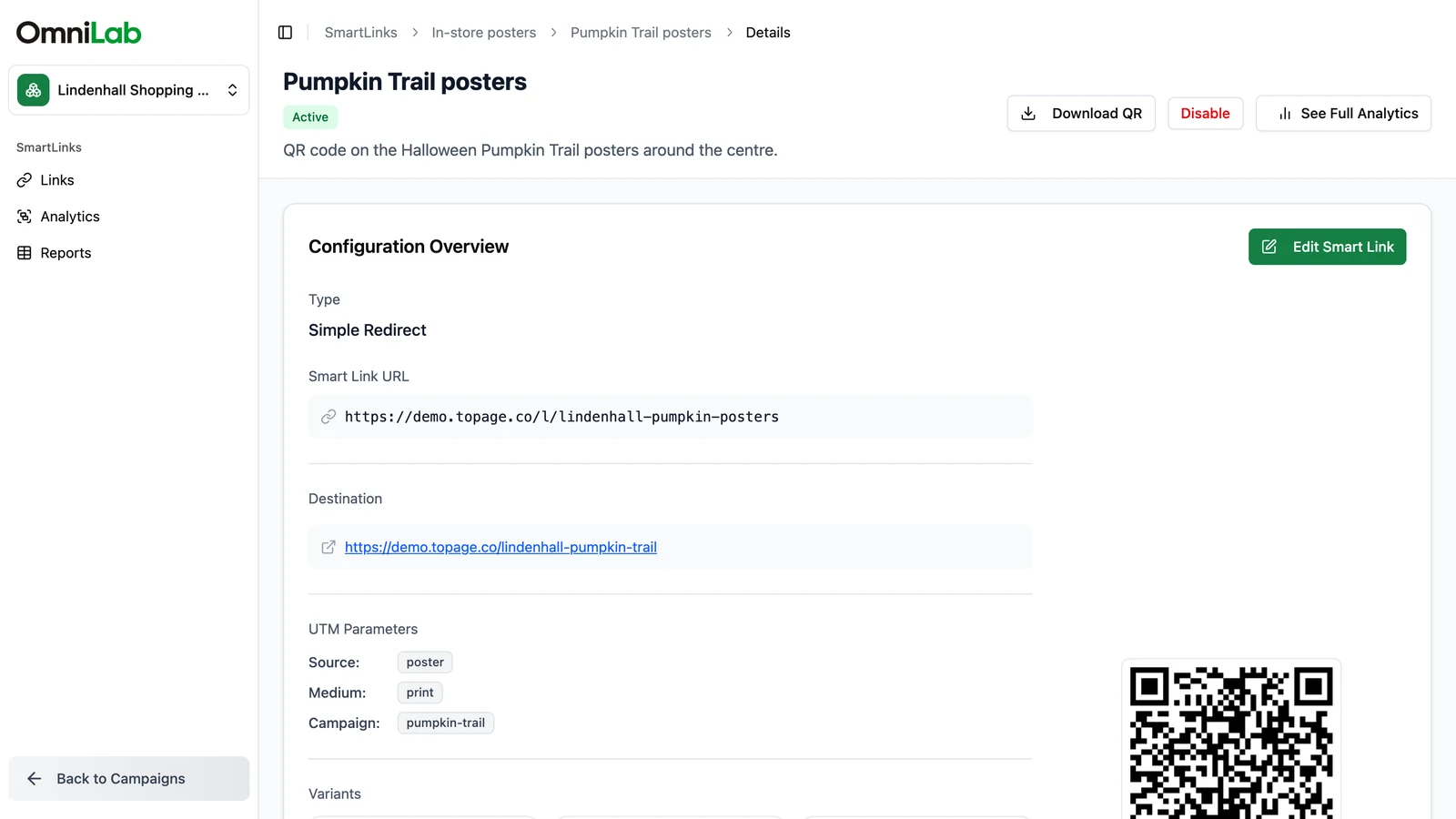Smart Link details with the type, Smart Link URL, destination, UTM parameters and variants