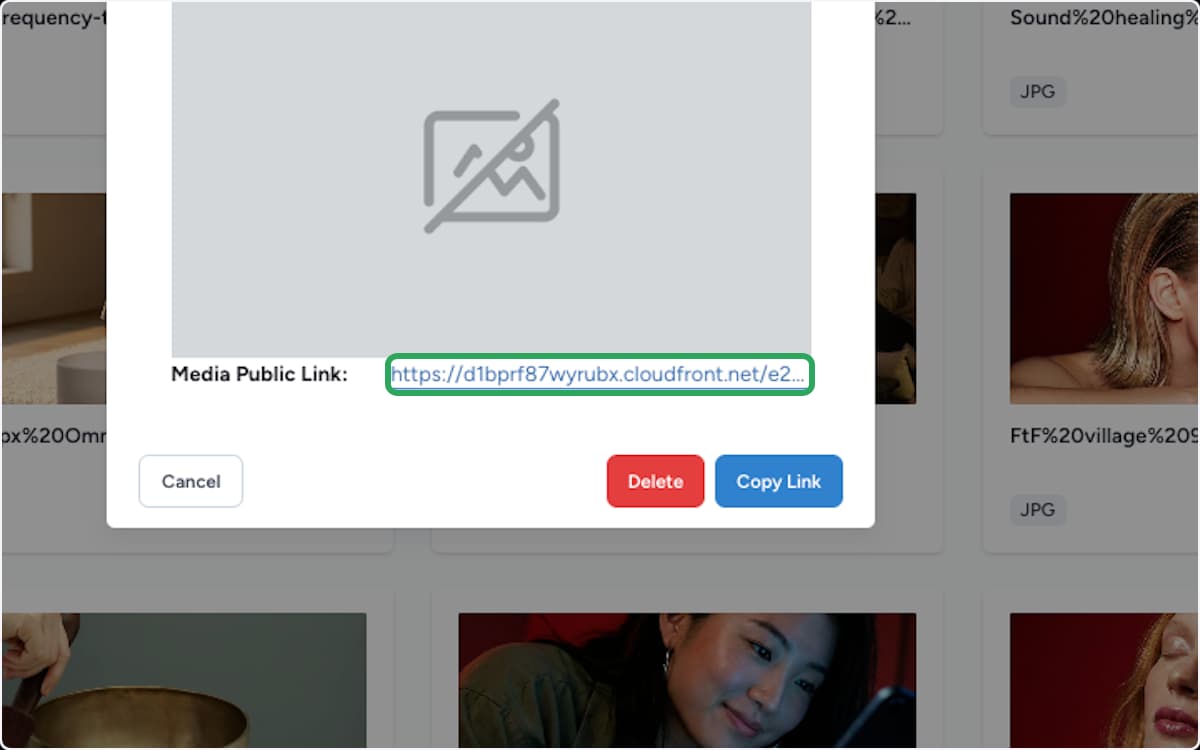 Media file dialog with the Media Public Link field and Copy Link button highlighted