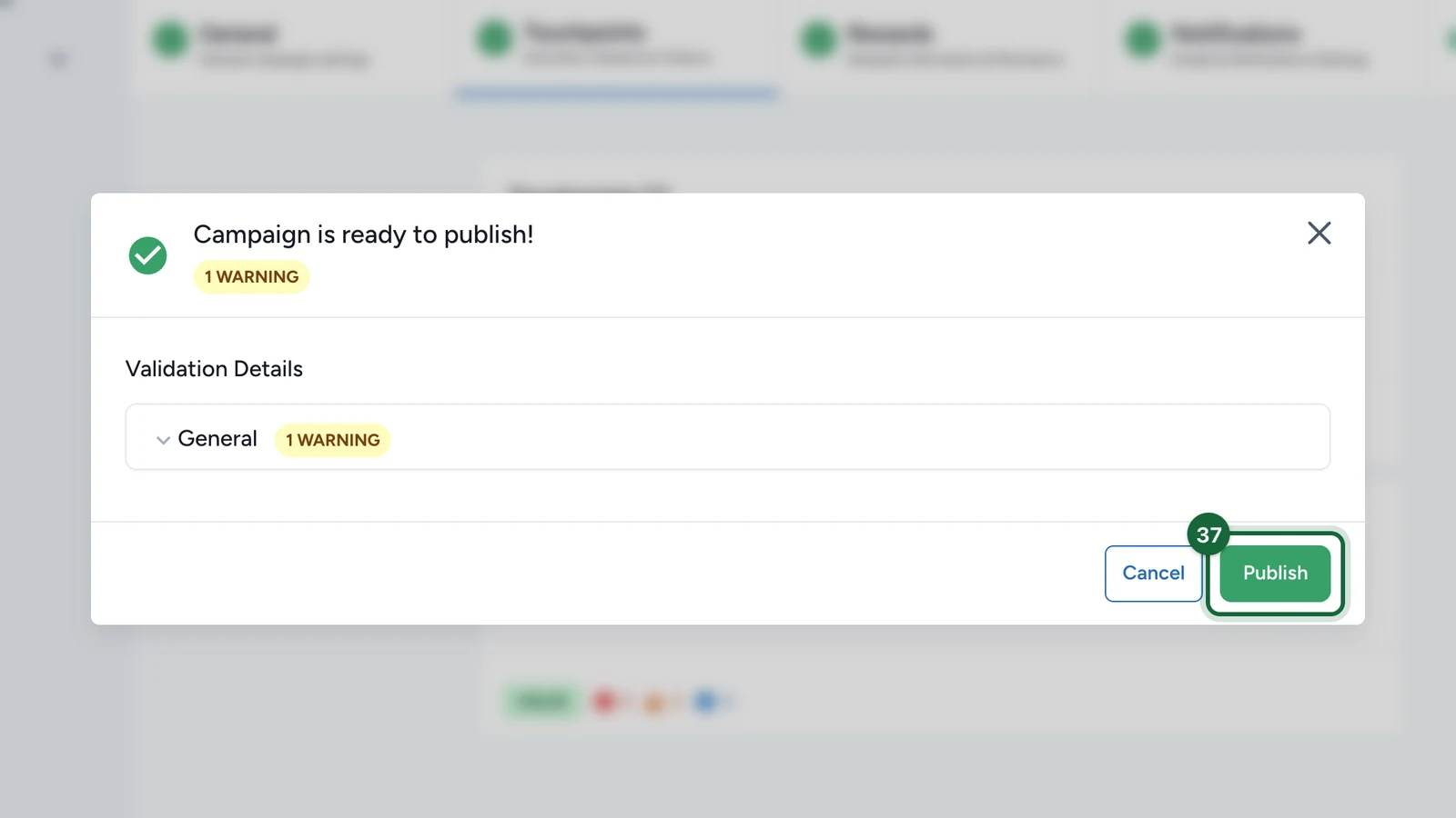 Publish window saying the campaign is ready to publish, with the Publish button highlighted